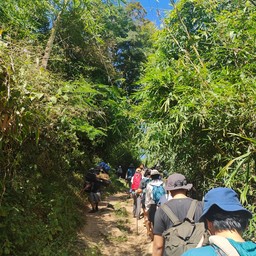 ซำกกหว้า