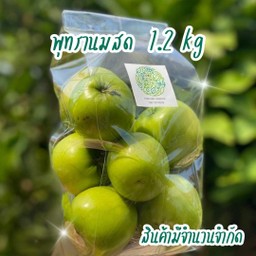 พุทรานมสด ปลอดสารพิษ