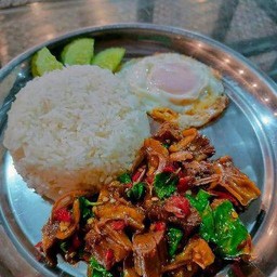 ข้าวสวยกระเพราเนื้อเปื่ิอย