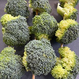 บร็อคโคลี