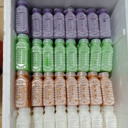 อั่งเปา ชานมเด็กน้อย ห้องเช่า อมตะนคร