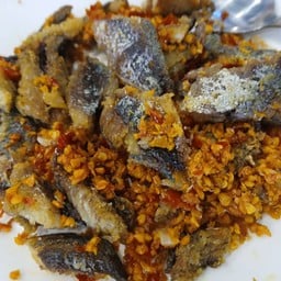 ปลาทู ผัดพริกเกลือ (กับข้าว)