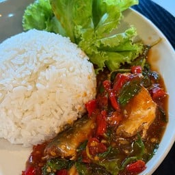 ข้าวราดกะเพราปลากระป๋อง