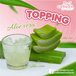 อโลเวร่า