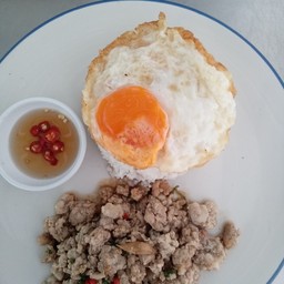 ข้าวกระเพราหมู