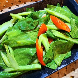 คะน้าน้ำมันหอย