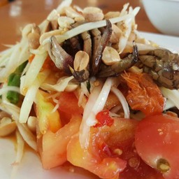 ส้มตำไทย-ปู