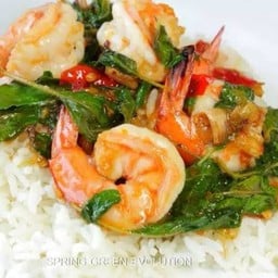 กระเพรากุ้งราดข้าว+ไข่ดาว