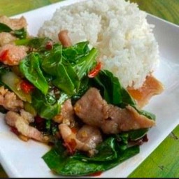 ข้าวคะน้าหมูชิ้น