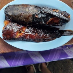 ปลาดุกย่าง(กลาง)