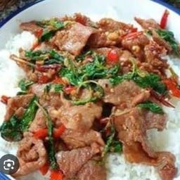 ผัดกระเพราหมู ราดข้าว+ไข่ดาว
