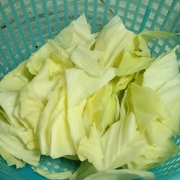 กะหล่ำปลี