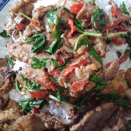 กระเพราเป็ด