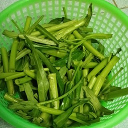 ผักบุ้ง