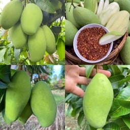 มะม่วงแก้วขมิ้น