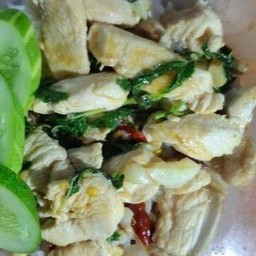 ข้าวราดผัดกะเพราไก่
