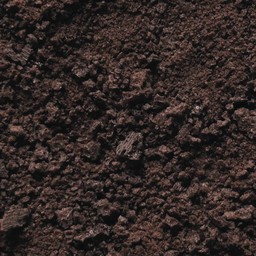 โอริโอครั้นชี่