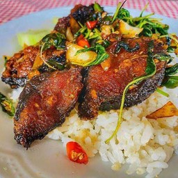 กระเพราปลาดุกกรอบราดข้าว