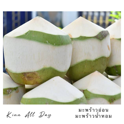 มะพร้าวอ่อน มะพร้าวน้ำหอม บ้านแพ้ว