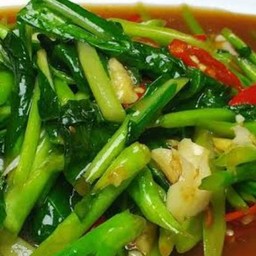 คะน้าน้ำมันหอย