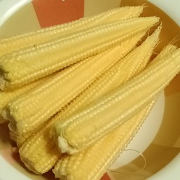 ข้าวโพดอ่อน