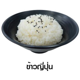 Japanese Rice