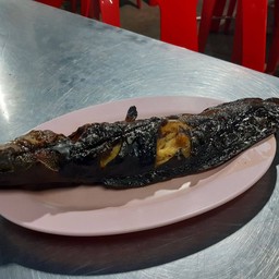 ปลาดุกย่าง