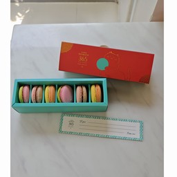 Macaron cat 6 piece