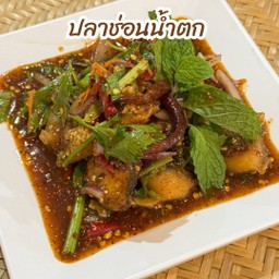 ปลาช่อนน้ำตก