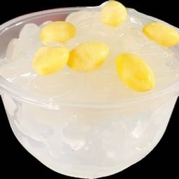 ลูกชิดแปะก๊วย