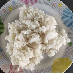 ข้าวป่าว