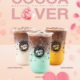 โกโก้มิ้นท์ Cocoa Mint