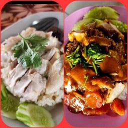 ข้าวมันไก่ ข้าวหมูกรอบหมูแดงนายต๋อง *