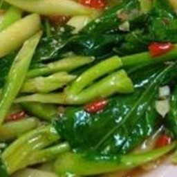 ข้าวราดคะน้าน้ำมันหอย