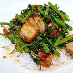 ผัดผักบุ้งราดข้าว