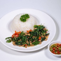 ข้าวกะเพราไก่สับ