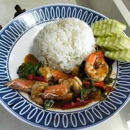 (โปร)กระเพรากุ้งราดข้าว