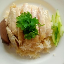 ข้าวมันไก่ต้ม ธรรมดา
