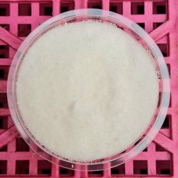 ผงลูกก๊อ