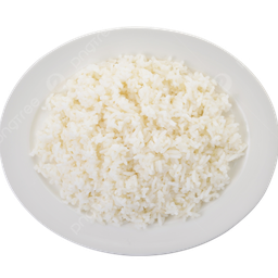 ข้าวเปล่า  RICE
