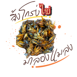 จิ้งโกร่ง ไข่