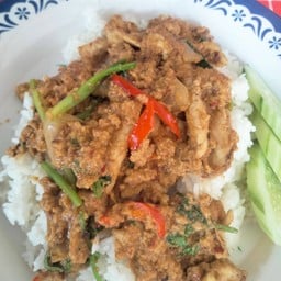 ข้าว+ผัดผงกะหรี่ไก่
