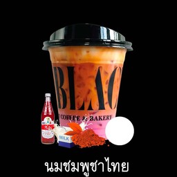 นมชมพูชาไทย