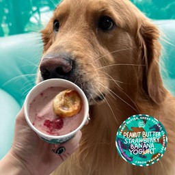 [ไอติมหมา]PB Strawberry Banana Yogurt 85g