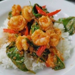 กระเพรากุ้งราดข้าว