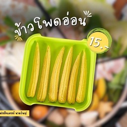ข้าวโพดอ่อน