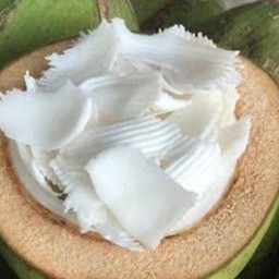 ฮันวาบ้านมะพร้าว