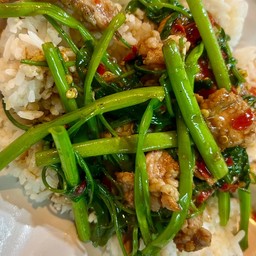 ผัดผักบุ้ง ราดข้าว