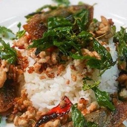 กระเพราไข่เยียวม้าราดข้าว