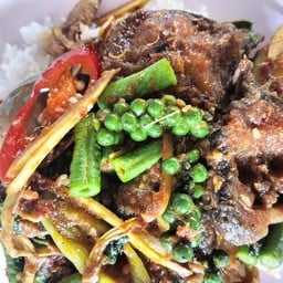 ผัดเผ็ด (กับข้าว)